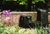 Water Feature, Brick Wall and Garden, Redmond